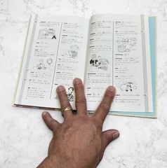 The Rice Balls and the Mice Gakken Bilingual English/Japanese Kids Book – ESL