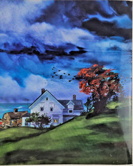 The Storm by Anne Rockwell Book for Children 11 x 9 Illustrated 1994 Paperback