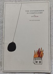The Unforbidden Is Compulsory, or Optimism (Dave Eggers • 2004) • Good