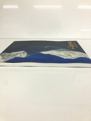 Hirayama Ikuo Exhibition The Path to Western Region Painting Great Tang Dynasty