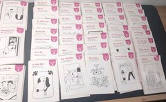 Decodable Reader 1-36 & Pre-decodable 1-18 Kindergarten Books SETS / 265 Books