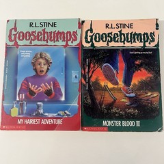 Vintage Goosebumps Book Lot of 13 R.L. Stine PB Horror Books Chapter Books Kids