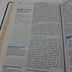 The Quest Study Bible New International Version Bonded Leather Large Print