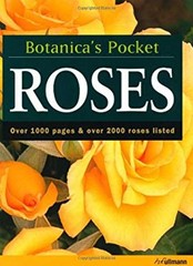 Roses Paperback