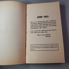 Howl at the Moon Robert Hogan 1953 First Paperback Edition Animal Story Award