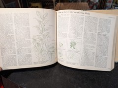 Original 1978 Reader’s Digest Illustrated Guide To Gardening 672 Pages