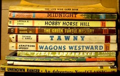 Lot of 10 very early MYSTERY oversize paperbacks © 1930s-1940s + Tawny & horses