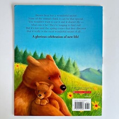 Brown Bear’s Wonderful Secret book by Caroline Castle (Paperback)