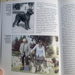 A Kennel Club Book Giant Schnauzer Comprehensive Guide To Owning And Caring For