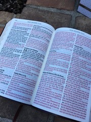 KJV Giant/Large Print Bible Red Letter ~ Beautiful ribbed cover ~thumb-indexed