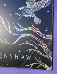 Lot of Fantasy/Horror: Silvia Moreno-Garcia/Shea Ernshaw/Erin Morgenstern 7 TPBs