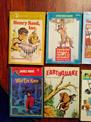 Lot of 12 Vintage Scholastic Dell Kids Pre-teen Teens Chapter Books for Boys PB