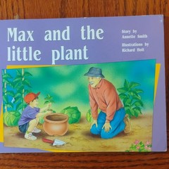 Lot of 10 Rigby PM Leveled Readers Classroom Books Mixed Titles Used