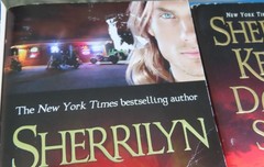 Sherrilyn Kenyon Dark Hunter League + Lot of 15 Mixed Titles