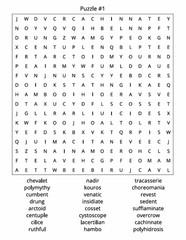 THE ADVANCED WORD SEARCH CHALLENGE, 100 Puzzles and solutions, 8.5×11 inches