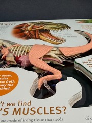 Explore T Rex Dinosaur Inside Out Plastic Model & Book Kids Under 8+ Years GIFT