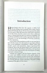 Sri Saundarya Lahari: Descent by Swami Satyasangananda Saraswati, Paperback