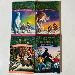 Magic Treehouse – Paperback Book Lot of 12 – #1-12 – Mary Pope Osborne