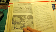 Clatsop County Oregon – A History – by Emma Gene Miller, hardcover 1958