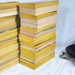 Lot of 60+ Andre Norton science fiction & fantasy Vtg paperbacks Sci-fi Ace SFF