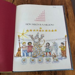 How Much Is a Million? Hardcover Book David M. Schwartz Steven Kellogg