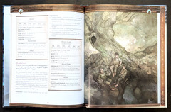 CUBICLE 7 ~ ADVENTURES IN MIDDLE EARTH ~ LOREMASTERS GUIDE ~ 5E COMPATIBLE BOOK