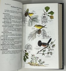 EASTON PRESS: Eastern Forests: North America by John Kricher – 1988 Leather HC