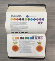 UNMARKED Salem Kirban Reference Bible KJV Bonded LEATHER King James Version AMG