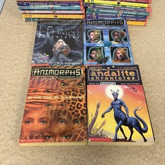 Animorphs Scholastic Book Lot Of 29 First Print Vintage 90s KA Applegate