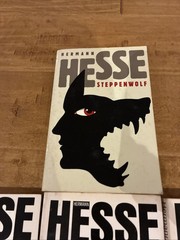 Vintage Hermann Hesse Paperback Book Lot (10 Volumes) – Noonday Press Editions
