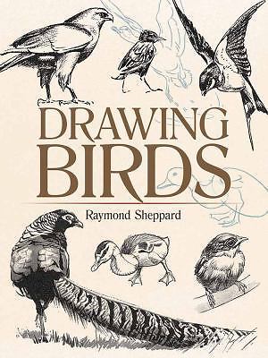 Drawing Birds (Dover Art Instruction), Sheppard, Raymond, 9780486820323