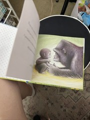 Book Why A Son Needs A Dad