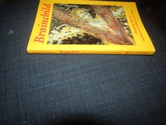BRAINCHILD By David Jay Brown & Robert Anton Wilson 1st Ed 1988