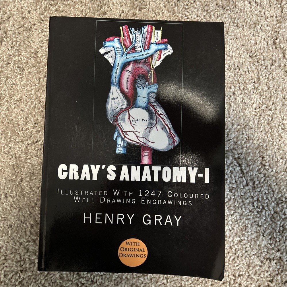 Gray’s Anatomy: Illustrated with 1247 Colored Well Drawing Engrawings by Gray