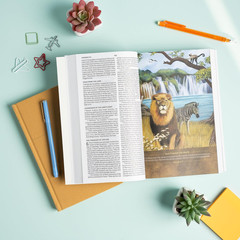 CSB Holy Bible for Kids, Large Print, Economy Edition, Black Letter, Presentatio