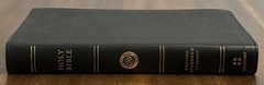 ESV Large Print Thinline Bible (Black Genuine Leather)