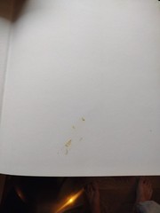 The Image of the Black in Western Art, Vol. 2: Part 1 Marrow Edition