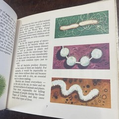 ROY NORRY, VIRUS HUNTER IN AUSTRALIA, SIR MACFARLANE BURNET. HARDCOVER 1966