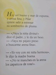 Los Zapaticos de Rosa by José Martí Illustrated Spanish Children’s Book
