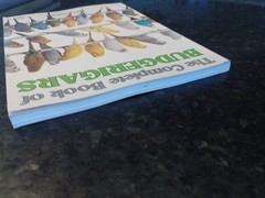 Complete Book of Budgerigars by John Scoble (1987, Trade Paperback)