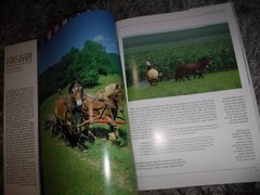 A Day In The Country – The Pleasures of Rural Life – Doranne Jacobson –