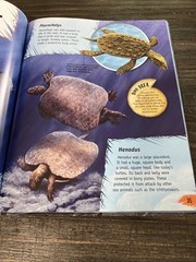 The Complete Guide To Dinosaurs Hardcover Book By Dougal Dixon Facts Beautiful