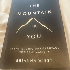 THE MOUNTAIN IS YOU BY BRIANNA WIEST