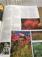 The Ultimate American Gardening Book Mynah 528 pages HB DJ Over 2200 Color Photo