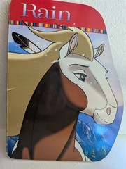 Spirit and Rain a giant shaped Board Book Kathleen Duey stallion of the cimarron