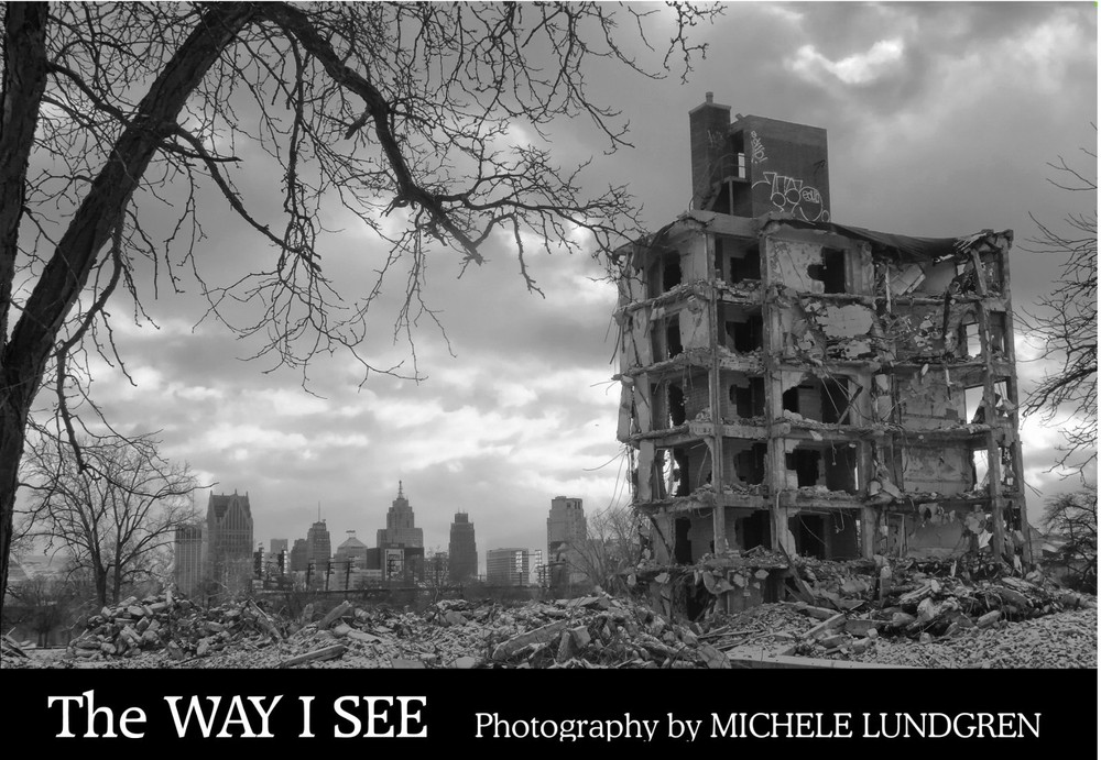 The WAY I SEE Brand New Michele Lundgren Detroit Photojournalist 174 pages 2026
