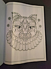Cat Coloring -32 Spring-Inspired Designs-Relaxing & Inspirational Adult Coloring
