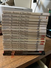 Because of Winn-Dixie Kate Dicamillo, Class Set Of 17, Guided Reading, Newberry