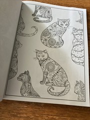 Cat Coloring Book 32 Playful Spring- Inspired Designs