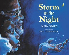 Storm in the Night – Paperback By Stolz, Mary – GOOD